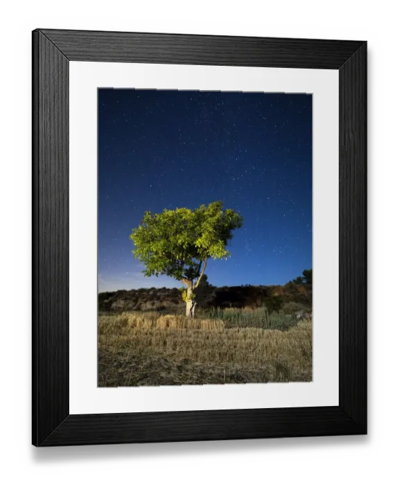 Framed Print : Blue night sky with stars with a tree with green leaves in a field Framed Print : Blue night sky with stars with a tree with green leaves in a field