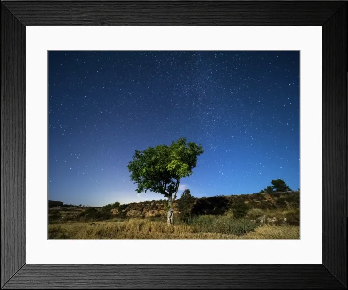 Framed Print : Blue night sky with stars with a tree with green leaves in a field Framed Print : Blue night sky with stars with a tree with green leaves in a field