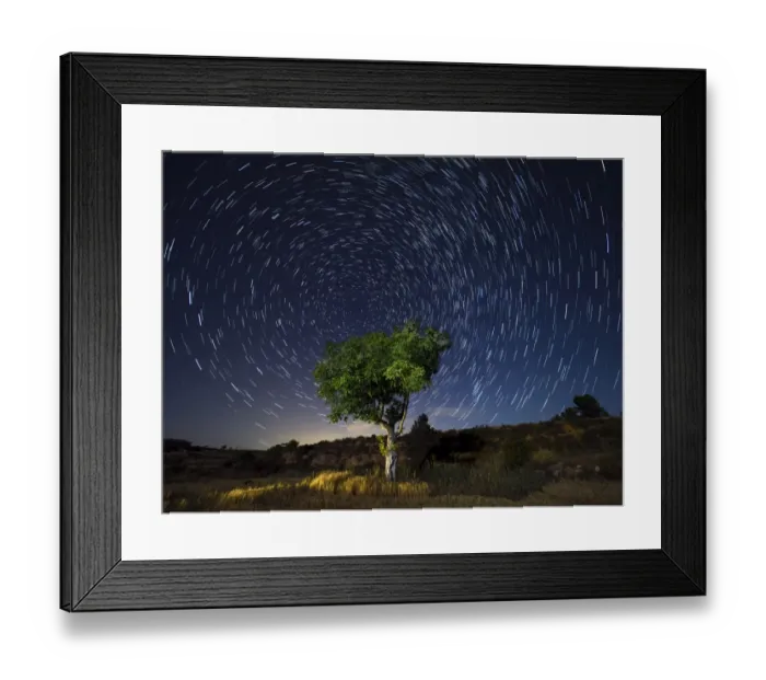 Framed Print : Star Trails. A green tree leaves the field in a starry night Framed Print : Star Trails. A green tree leaves the field in a starry night