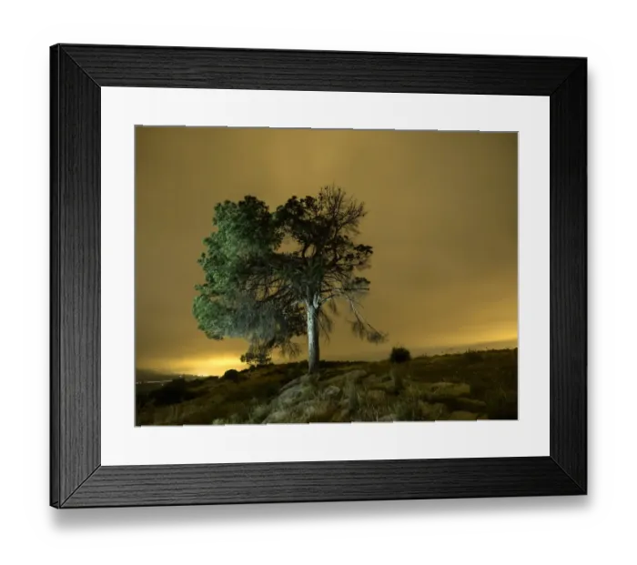 Framed Print : Night landscape with orange clouds of a great tree on a hill Framed Print : Night landscape with orange clouds of a great tree on a hill