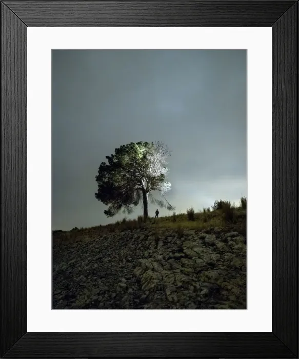 Framed Print : Solitary tree in the mountain in the night, illuminated by the full moon Framed Print : Solitary tree in the mountain in the night, illuminated by the full moon