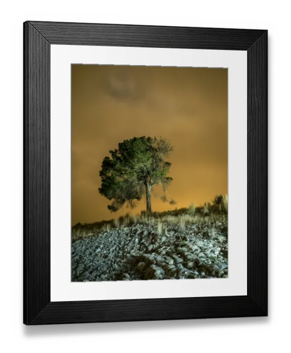 Framed Print : Top of a rocky mountain with a great tree in the summit, with a sky of clouds of orange color Framed Print : Top of a rocky mountain with a great tree in the summit, with a sky of clouds of orange color