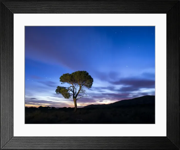Framed Print : Silhouette of a solitary tree on the top of a mountain with crepuscular light Framed Print : Silhouette of a solitary tree on the top of a mountain with crepuscular light