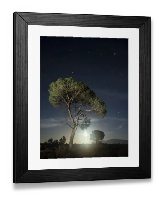 Framed Print : Full moon shining out among the pines in the mountains Framed Print : Full moon shining out among the pines in the mountains