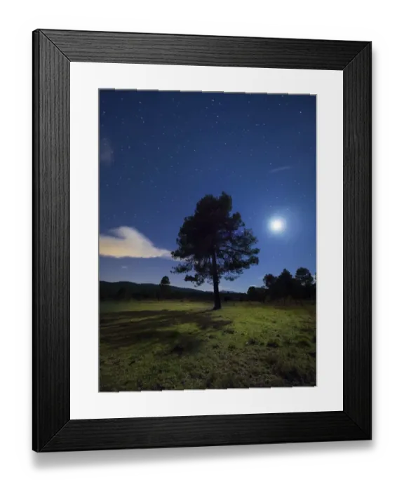 Framed Print : Solitary tree in the mountain in the night, illuminated by the full moon