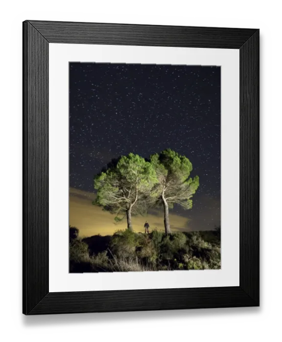 Framed Print : Two big trees in the night with persons silhouettes together with them, illuminated by the moonlight Framed Print : Two big trees in the night with persons silhouettes together with them, illuminated by the moonlight