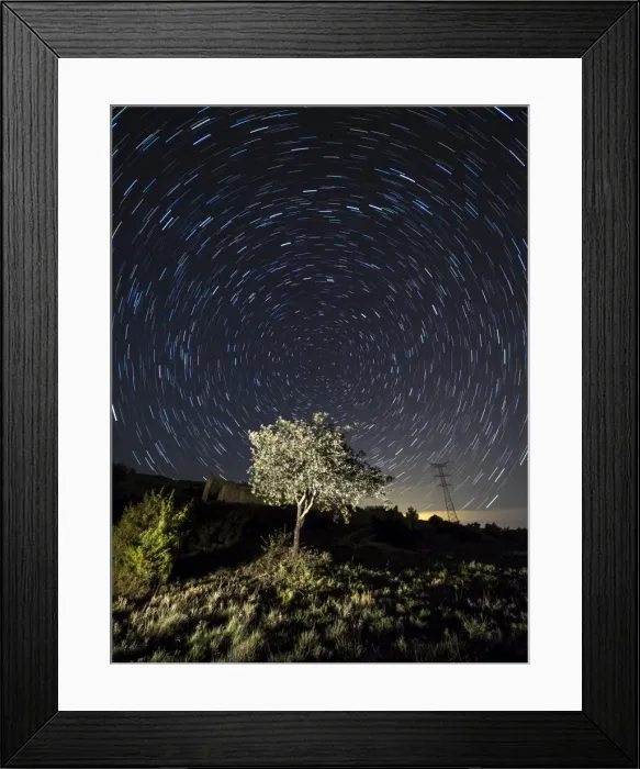 Framed Print : Tree, a night of clear sky with stars in movement Framed Print : Tree, a night of clear sky with stars in movement