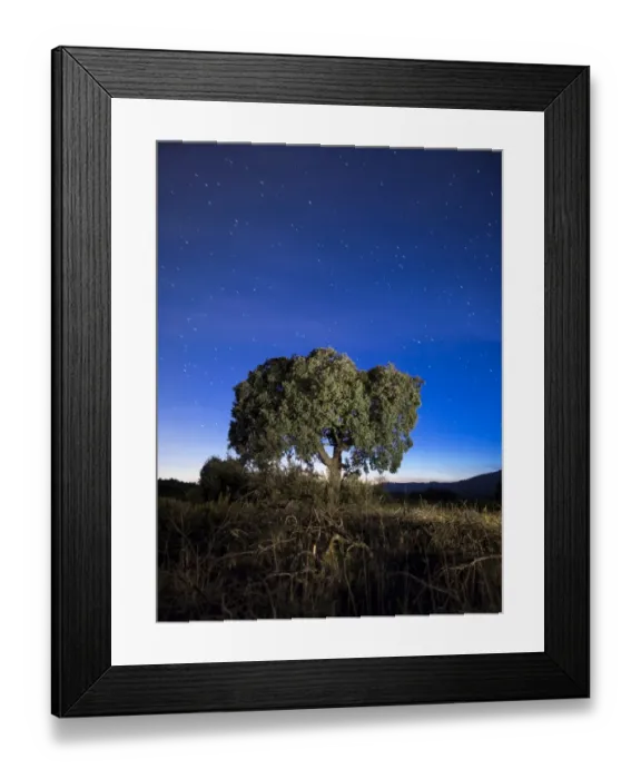 Framed Print : Oak in the night in the mountain, with a sky of crepuscular light and with stars Framed Print : Oak in the night in the mountain, with a sky of crepuscular light and with stars