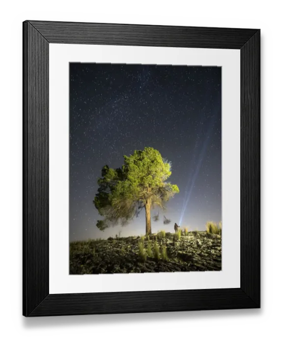 Framed Print : Top of a mount with a tree and a man with lantern Framed Print : Top of a mount with a tree and a man with lantern