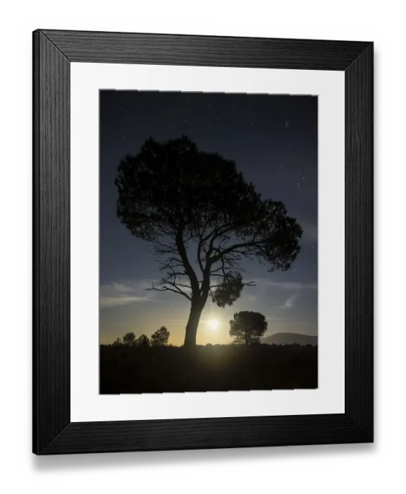 Framed Print : Silhouettes of two trees on the mountain with full moon Framed Print : Silhouettes of two trees on the mountain with full moon