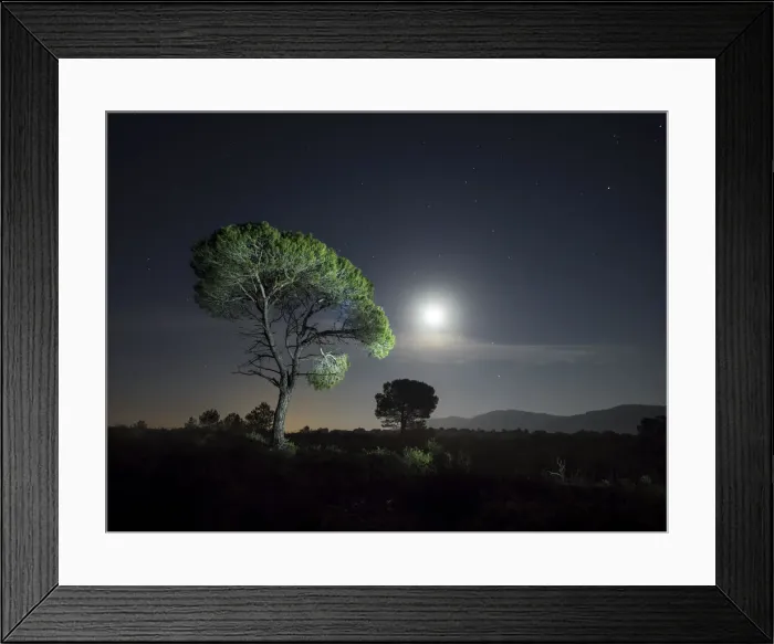 Framed Print : Tree between the stars and the full moon