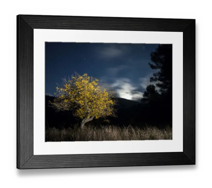 Framed Print : Solitary tree in the mountain in the night, illuminated by the full moon