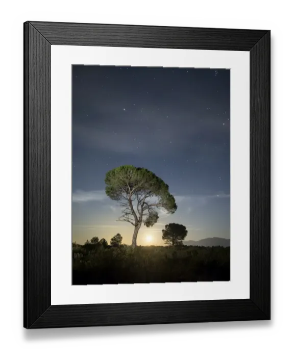 Framed Print : Tree between the stars and the full moon Framed Print : Tree between the stars and the full moon