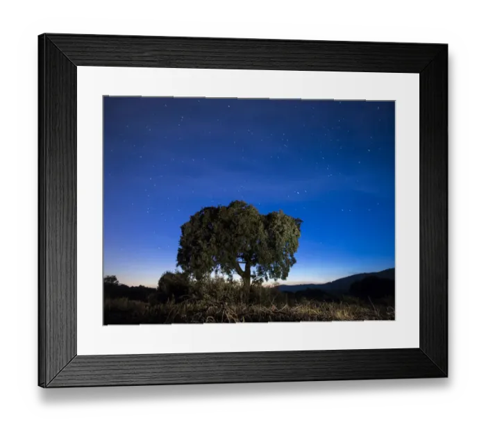 Framed Print : Tree, (oak) isolated in the top of a mountain to the dusk with crepuscular light Framed Print : Tree, (oak) isolated in the top of a mountain to the dusk with crepuscular light