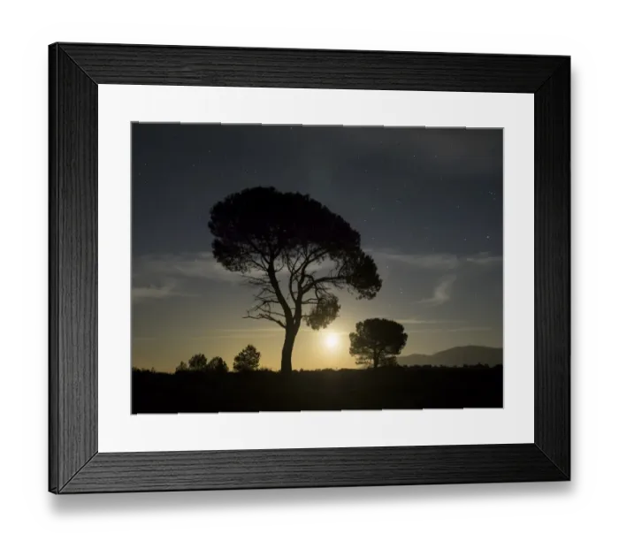Framed Print : Tree between the stars and the full moon Framed Print : Tree between the stars and the full moon