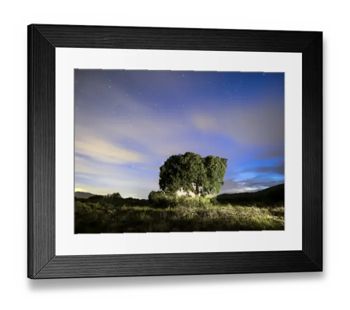 Framed Print : Tree, (oak) isolated in the top of a mountain to the dusk with crepuscular light Framed Print : Tree, (oak) isolated in the top of a mountain to the dusk with crepuscular light