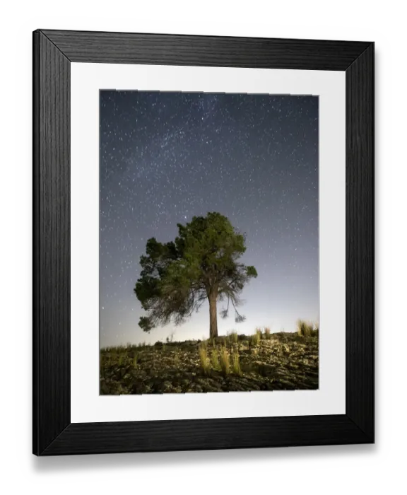 Framed Print : Tree on the top of a mountain a night of sky with stars Framed Print : Tree on the top of a mountain a night of sky with stars