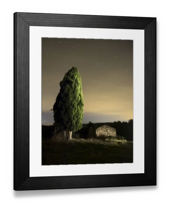 Framed Print : Great cypress of more than hundred years close to a farmhouse in ruins in the field Framed Print : Great cypress of more than hundred years close to a farmhouse in ruins in the field