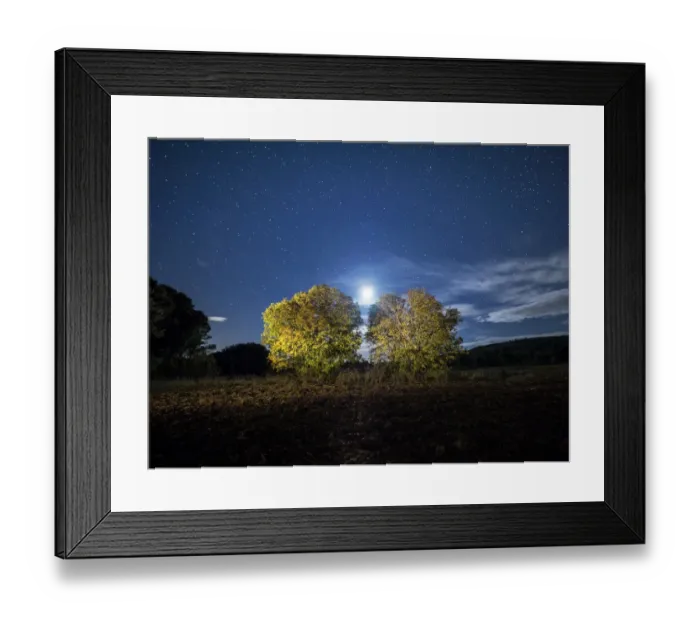 Framed Print : Two trees of the species (almez), in a ploughed field illuminated by the full moon