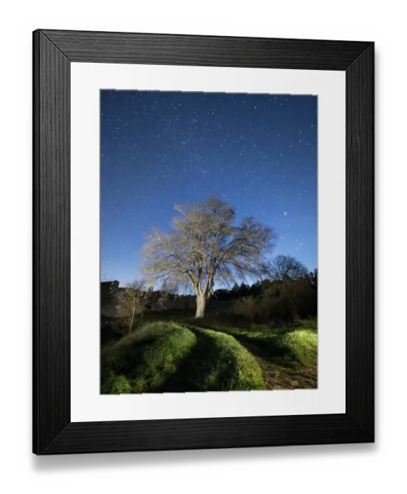Framed Print : Way of mountain that leads to a great solitary tree a night of moonlight Framed Print : Way of mountain that leads to a great solitary tree a night of moonlight