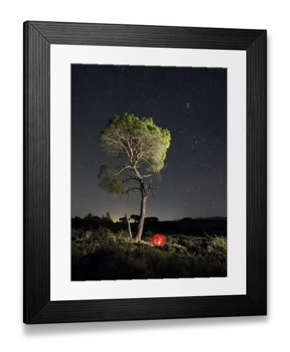 Framed Print : Solitary pine in the mount a night of stars with a red umbrella