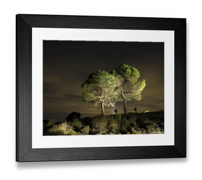 Framed Print : Two big trees in the night with persons silhouettes together with them, illuminated by the moonlight Framed Print : Two big trees in the night with persons silhouettes together with them, illuminated by the moonlight