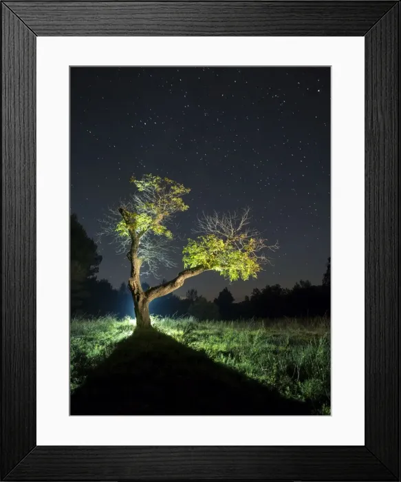 Framed Print : Solitary tree in the mountain in the night, illuminated by the full moon Framed Print : Solitary tree in the mountain in the night, illuminated by the full moon