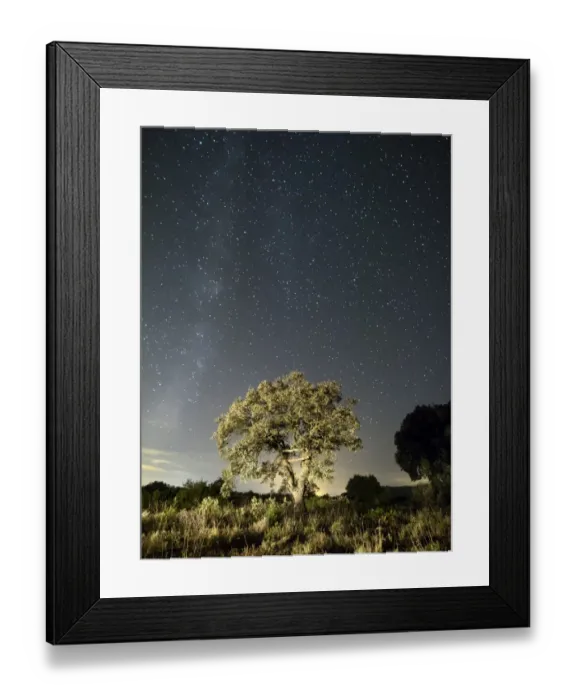 Framed Print : Solitary tree in the mountain in the night, illuminated by the full moon Framed Print : Solitary tree in the mountain in the night, illuminated by the full moon
