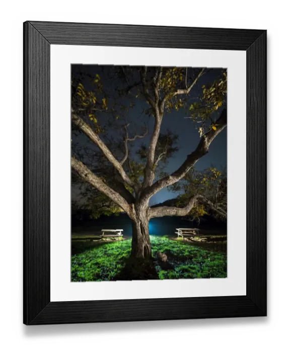 Framed Print : Trunk of a great walnut in a zone of picnic one autumn night Framed Print : Trunk of a great walnut in a zone of picnic one autumn night
