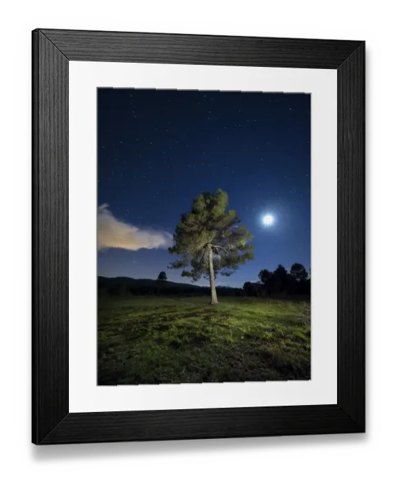 Framed Print : Solitary tree in the mountain in the night, illuminated by the full moon Framed Print : Solitary tree in the mountain in the night, illuminated by the full moon