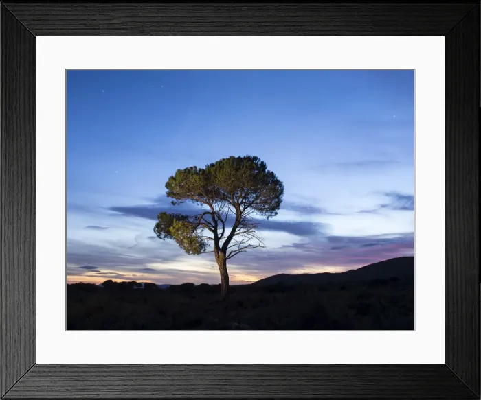 Framed Print : Tree in the mountain with crepuscular light Framed Print : Tree in the mountain with crepuscular light
