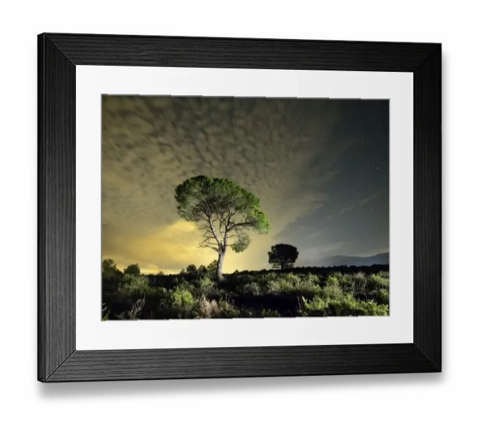 Framed Print : Solitary tree with crepuscular light and stars