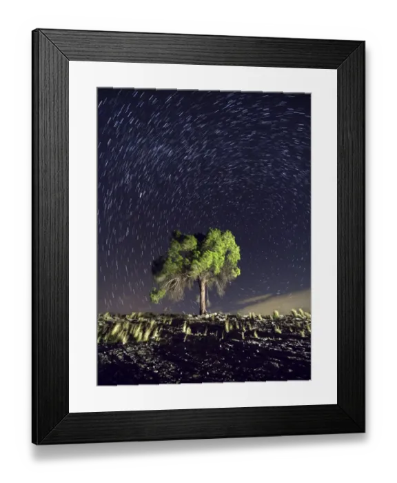 Framed Print : Solitary tree in the mountain under the stars Framed Print : Solitary tree in the mountain under the stars