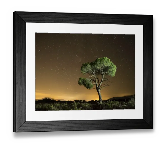 Framed Print : Tree isolated in the mountain a starry night Framed Print : Tree isolated in the mountain a starry night