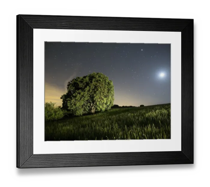 Framed Print : Moon and stars illuminating a green wheat field Framed Print : Moon and stars illuminating a green wheat field