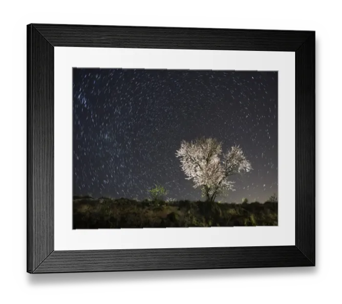 Framed Print : Flowery almond-tree a starry night Framed Print : Flowery almond-tree a starry night