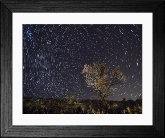 Framed Print : Flowery almond-tree a starry night Framed Print : Flowery almond-tree a starry night