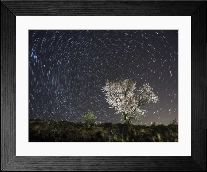 Framed Print : Flowery almond-tree one night of starred of spring Framed Print : Flowery almond-tree one night of starred of spring
