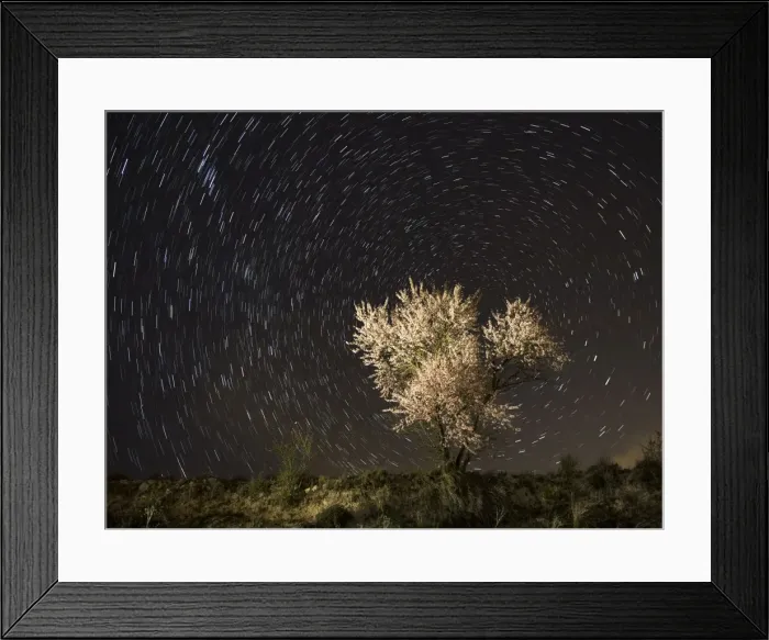 Framed Print : Flowery almond-tree one night of starry spring Framed Print : Flowery almond-tree one night of starry spring
