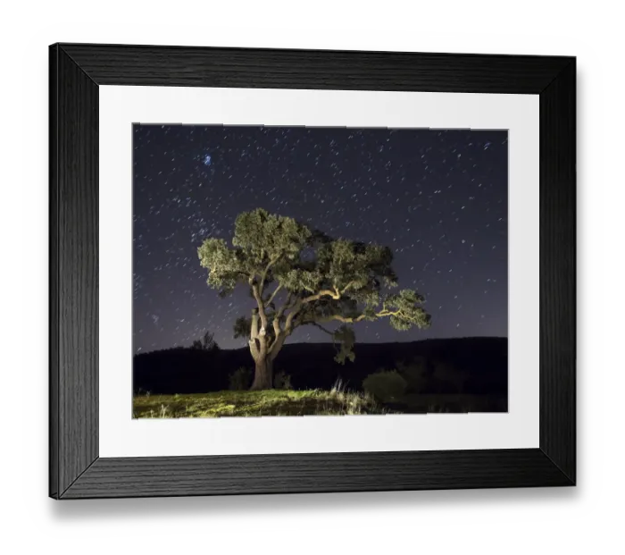 Framed Print : In the night with a sky full of stars and a tree Framed Print : In the night with a sky full of stars and a tree