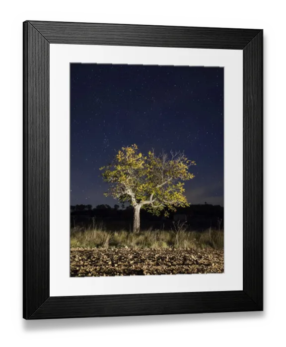Framed Print : Jose A Bernat Bacete