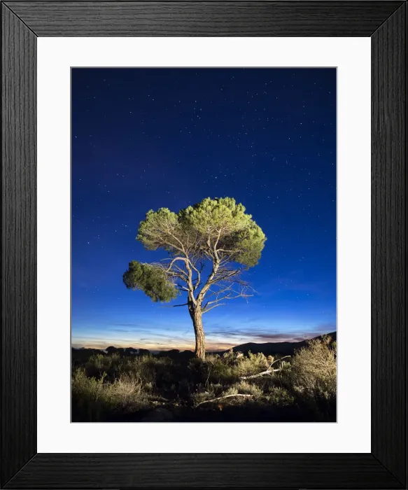 Framed Print : Jose A Bernat Bacete