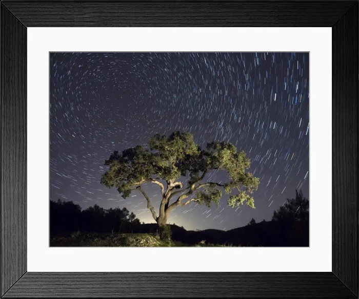 Framed Print : Tree, a night of clear sky with stars in movement Framed Print : Tree, a night of clear sky with stars in movement