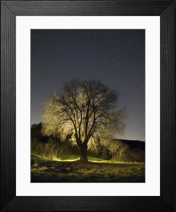 Framed Print : Silhouette of a great tree in winter in the night Framed Print : Silhouette of a great tree in winter in the night