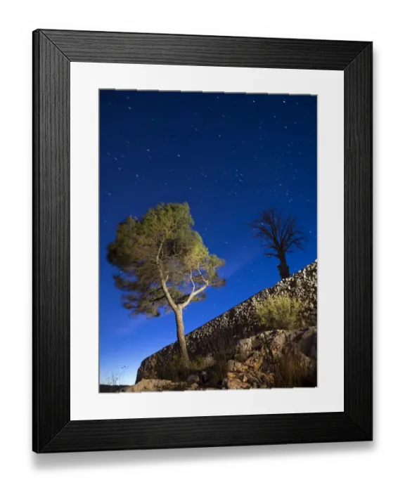 Framed Print : Dry pine and cypress a night of stars Framed Print : Dry pine and cypress a night of stars