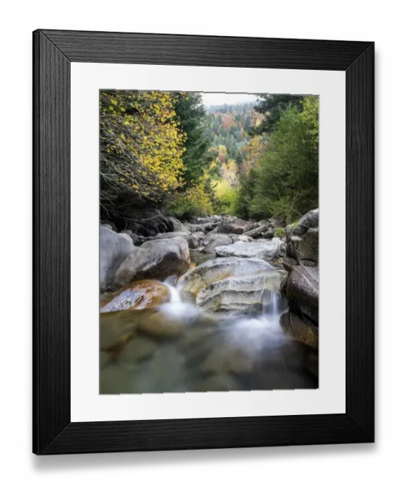 Framed Print : Creek of high mountain in a forest in autumn Framed Print : Creek of high mountain in a forest in autumn