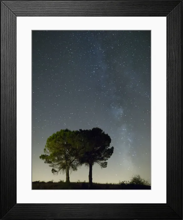 Framed Print : Silhouette of two trees and the milky way Framed Print : Silhouette of two trees and the milky way
