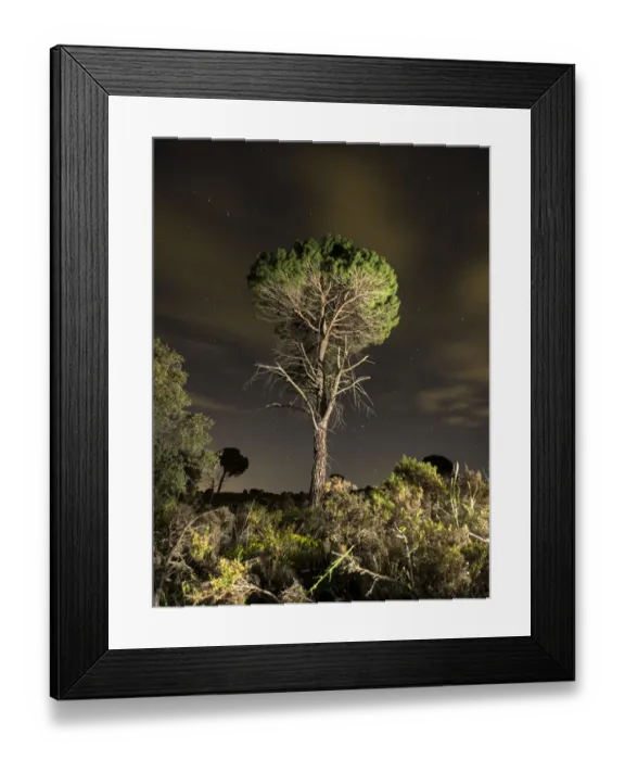Framed Print : Solitary tree in the mountains with starry night Framed Print : Solitary tree in the mountains with starry night