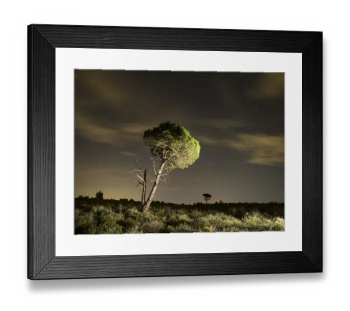 Framed Print : Deforestation Framed Print : Deforestation