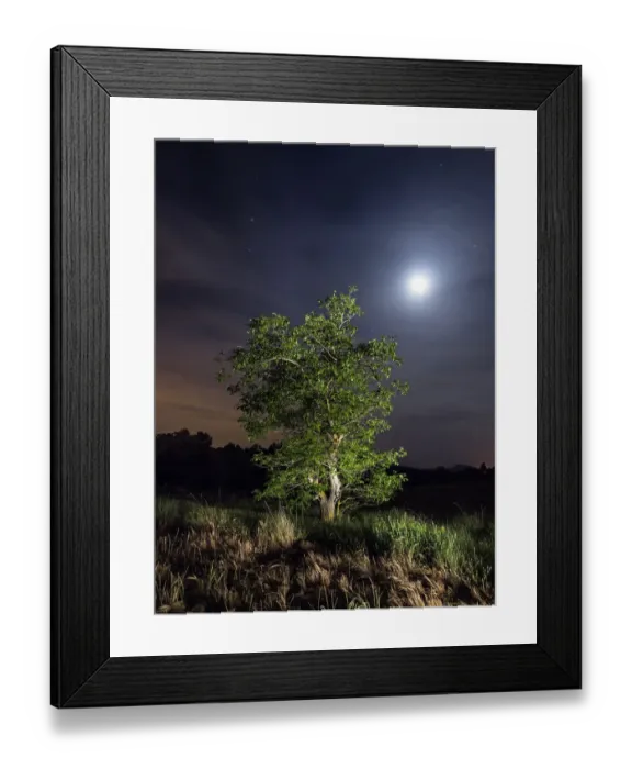 Framed Print : The walnut and light of the full moon Framed Print : The walnut and light of the full moon
